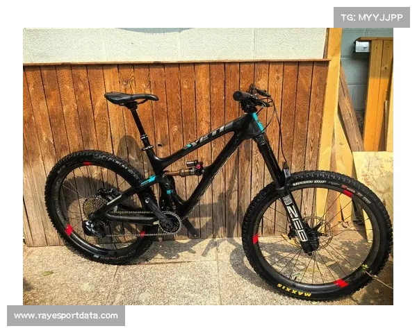 自行车运动带动相关装备销售增长，高端车型与配件需求上升