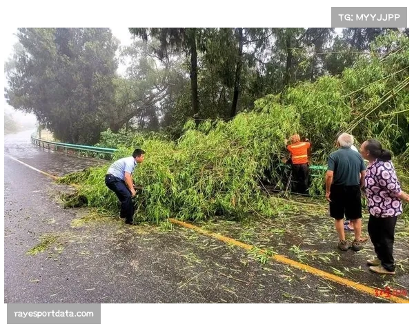 赛场花絮：大风天气影响比赛，双方长传成功率均出现明显下降